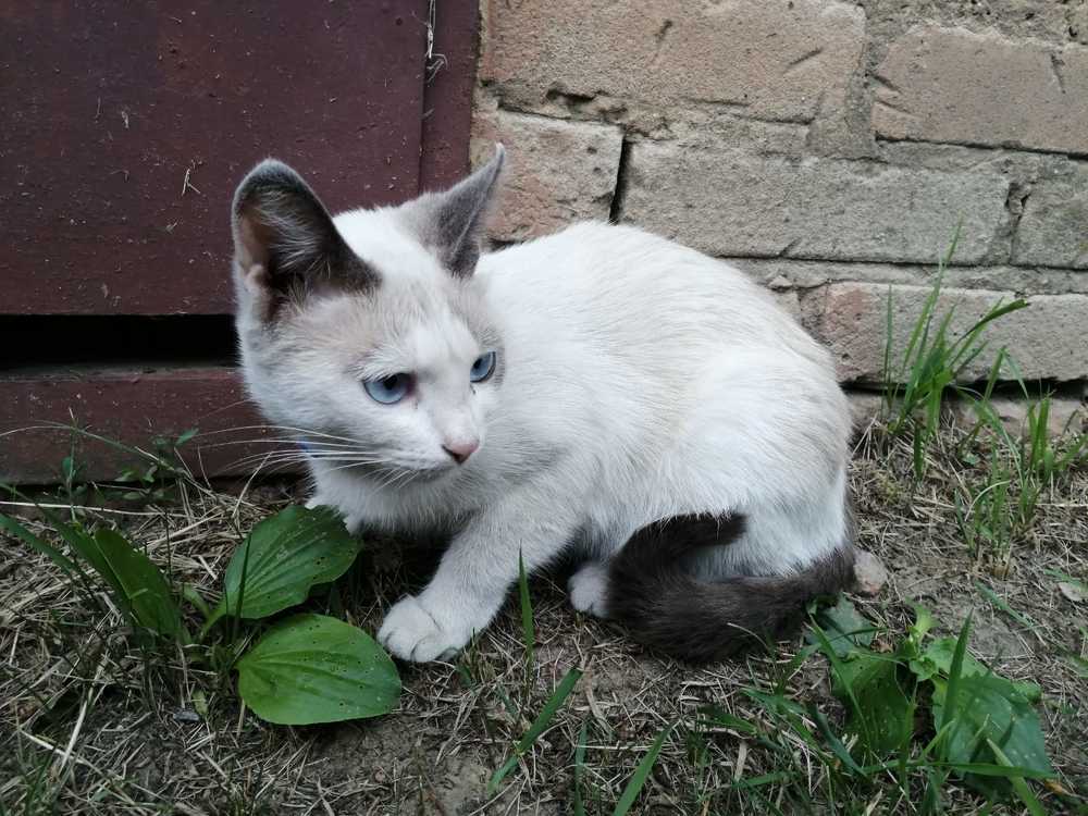 Фотография автора Татьяна Савранчук