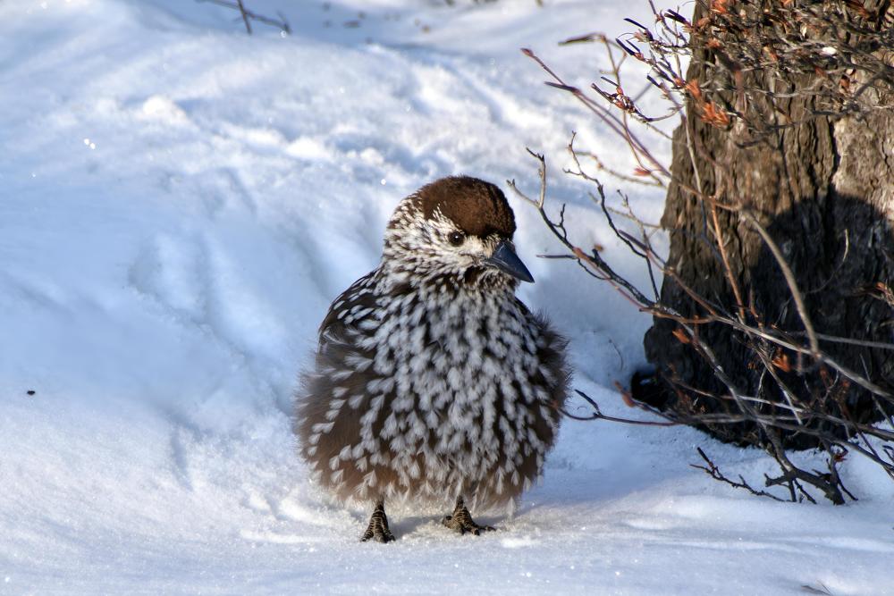 Photograph by Виктория Лобанова