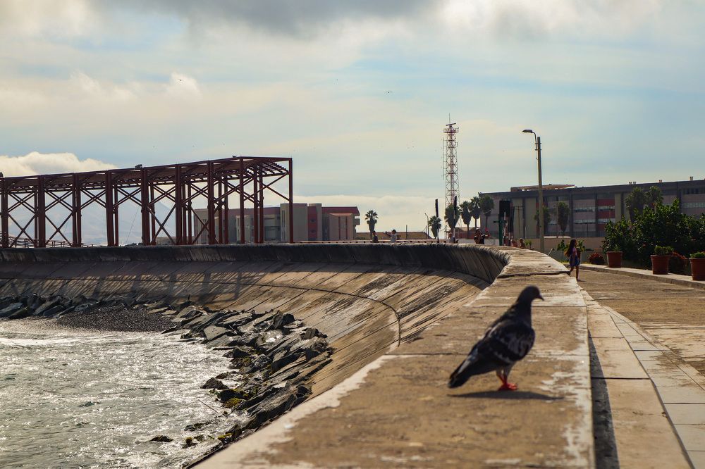 Photograph by Jorge Giol