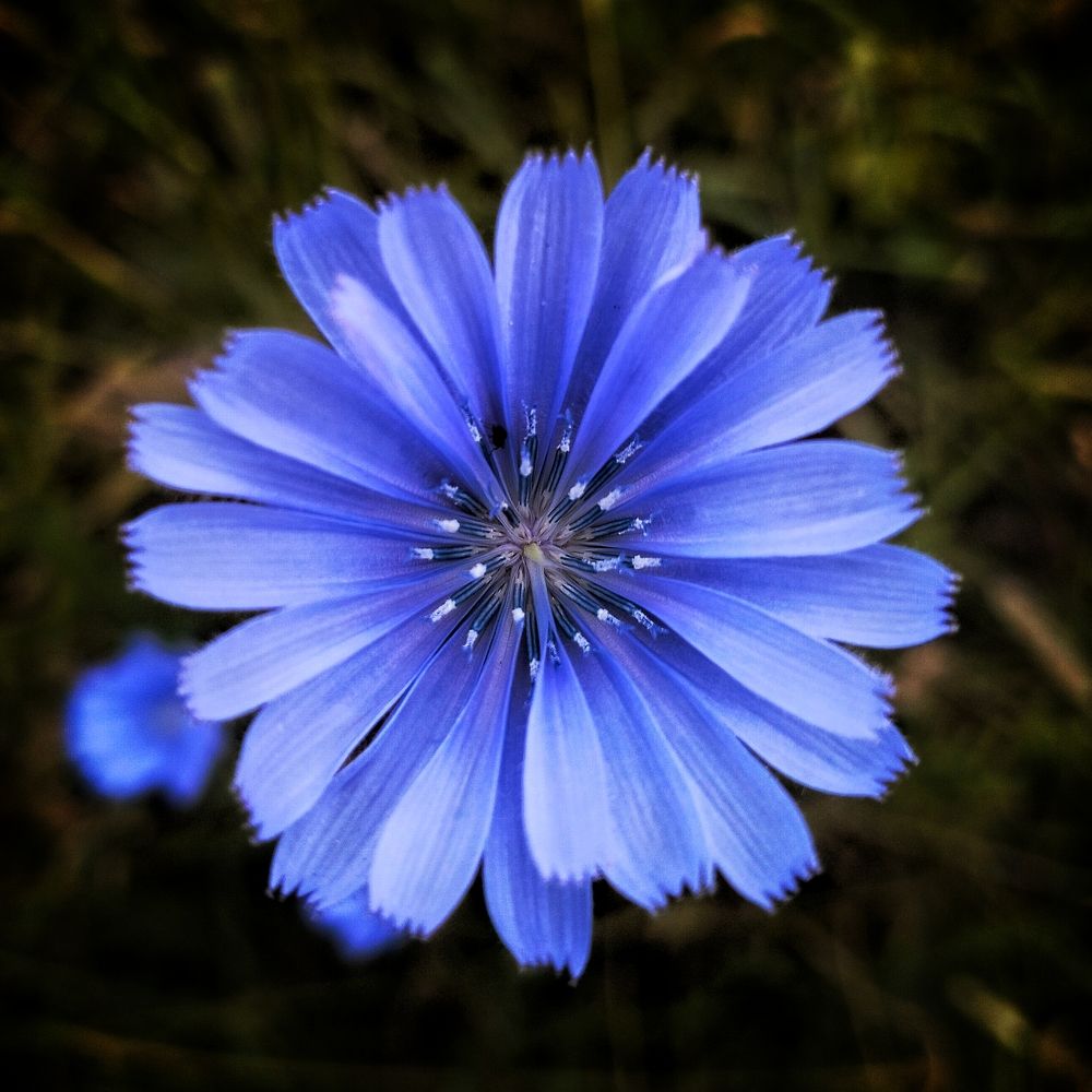 Photograph by Артем Великанов