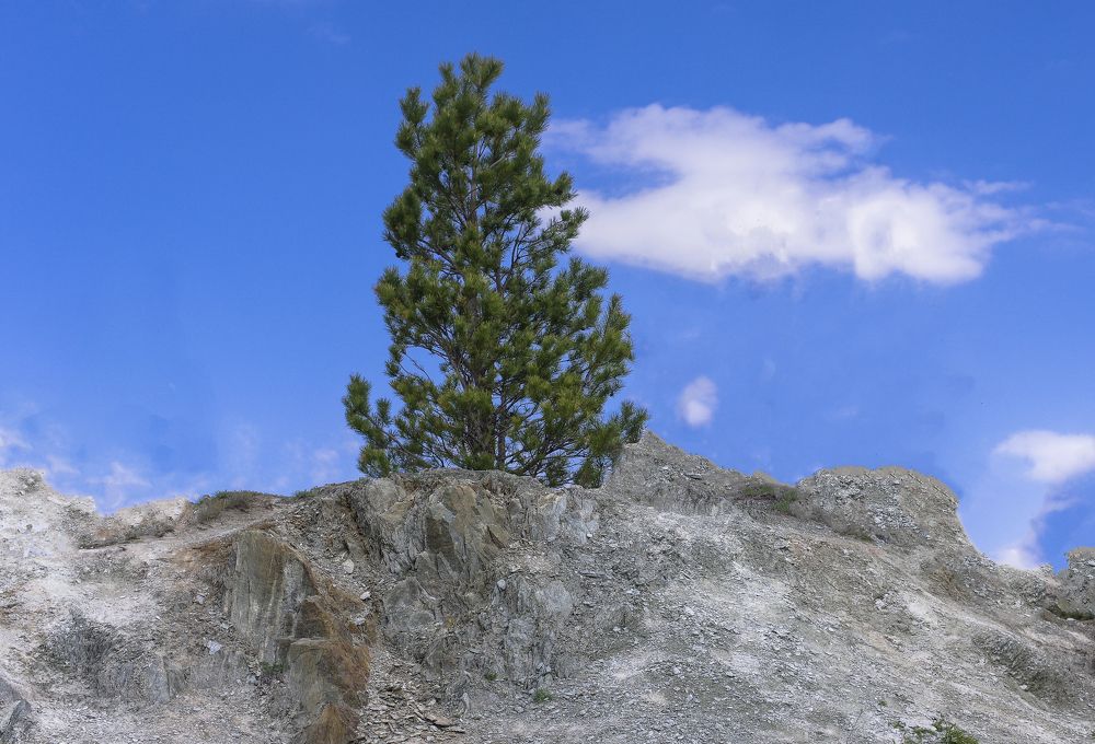 Photograph by Михаил Измайлов