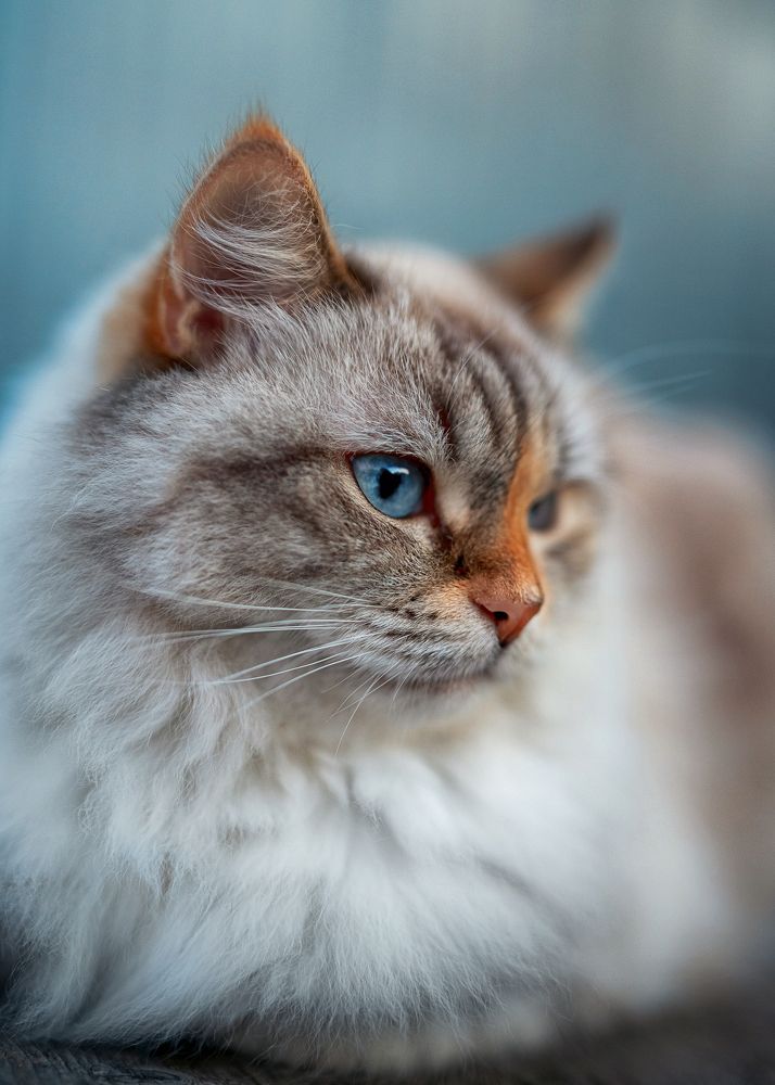 Photograph by Екатерина Каминская