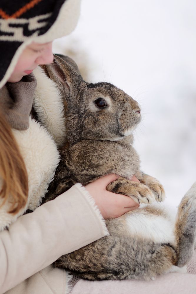 Photograph by Светлана Герасимчук