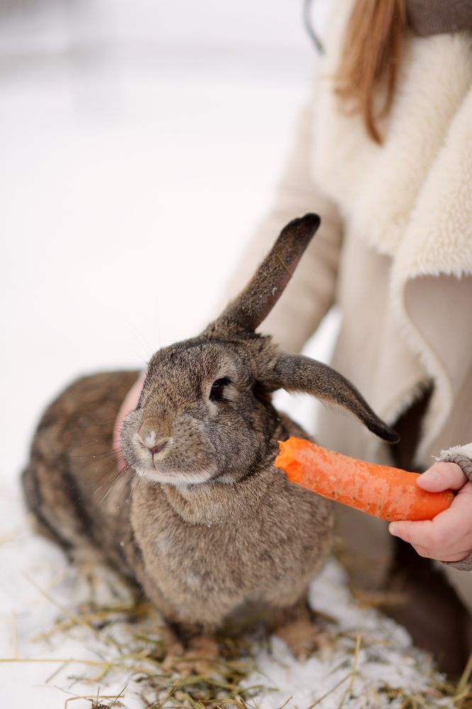 Photograph by Светлана Герасимчук