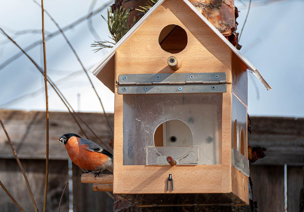 Photograph by Вадим Басов