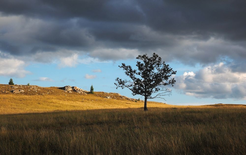 Photograph by Александр Попов