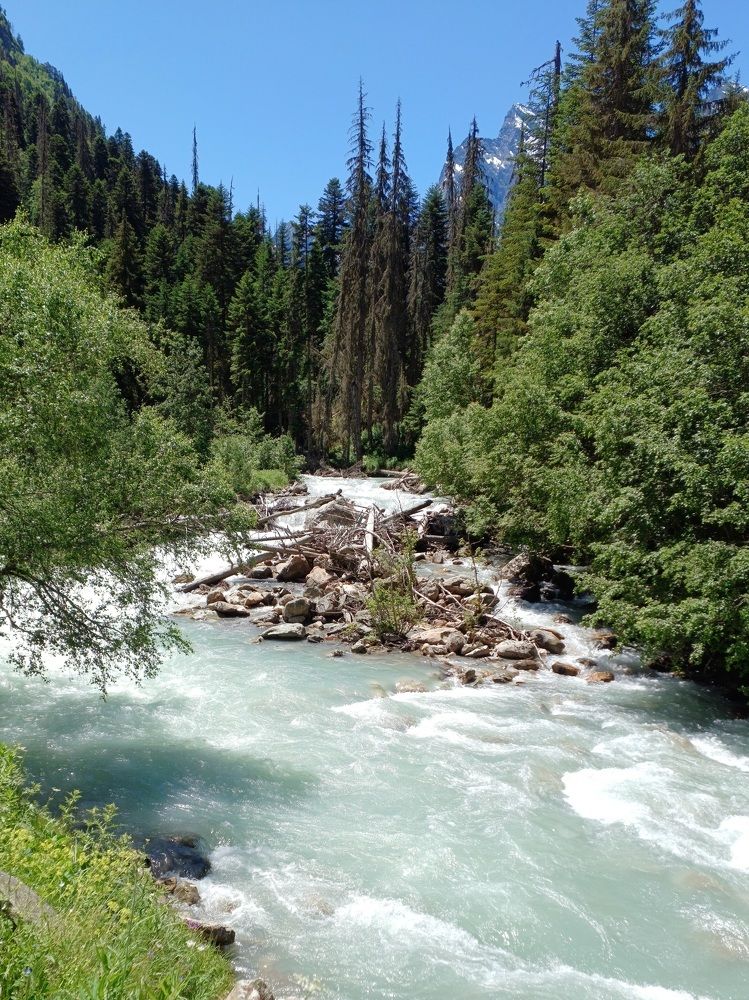 Photo #10765567