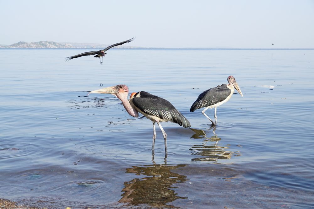 Photograph by Galina Maksimova