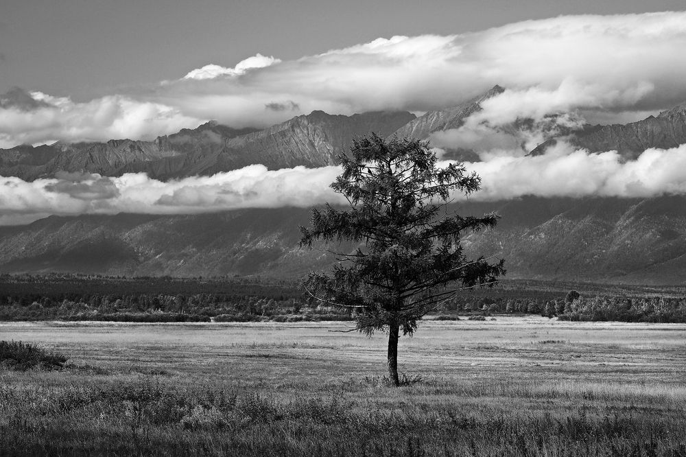 Photograph by Александр Попов