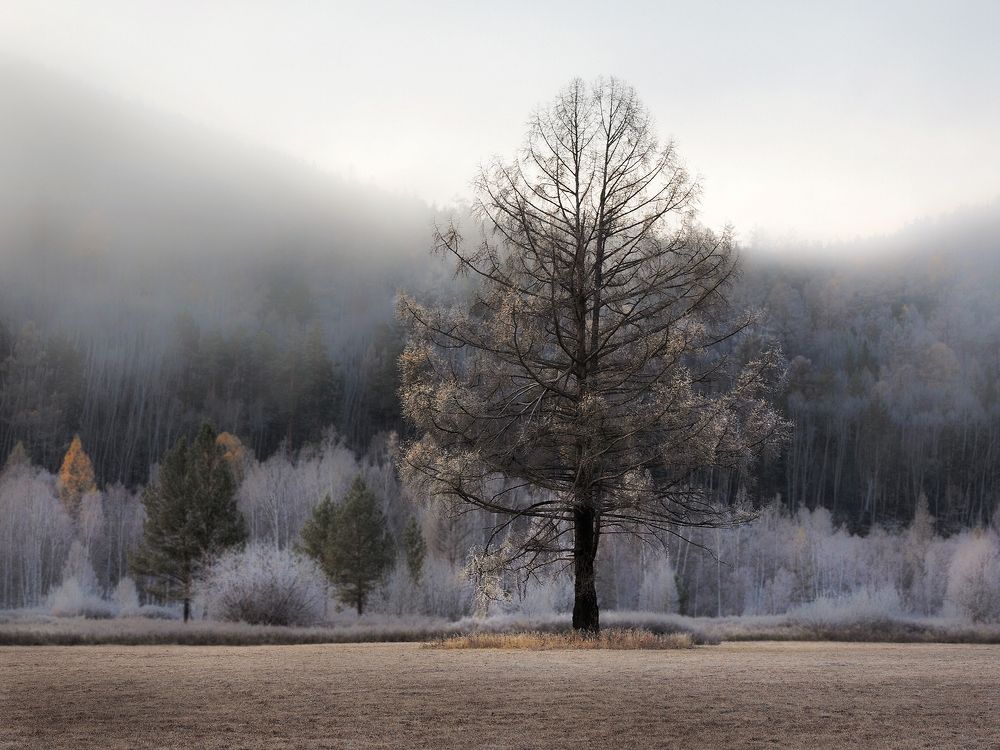 Photograph by Александр Попов