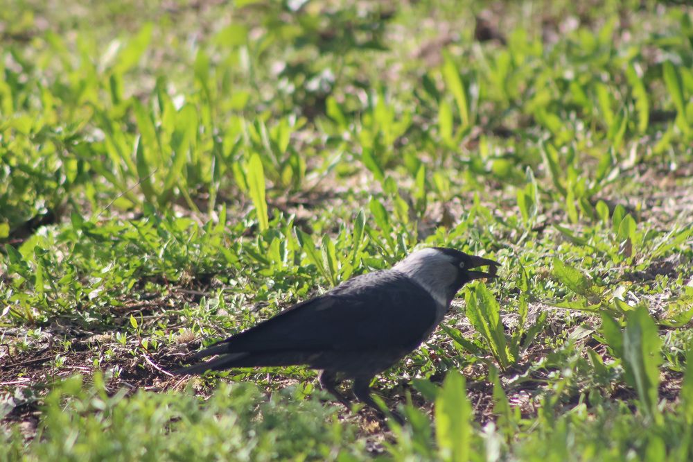 Photograph by Natasha Kim