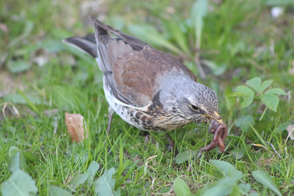 Photograph by Natasha Kim