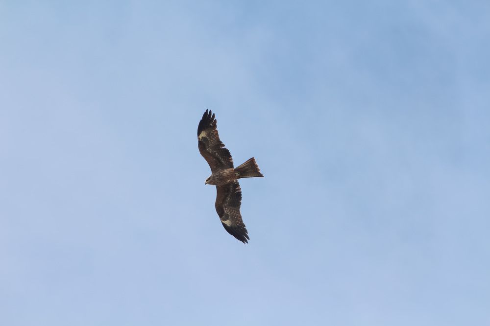 Photograph by Natasha Kim