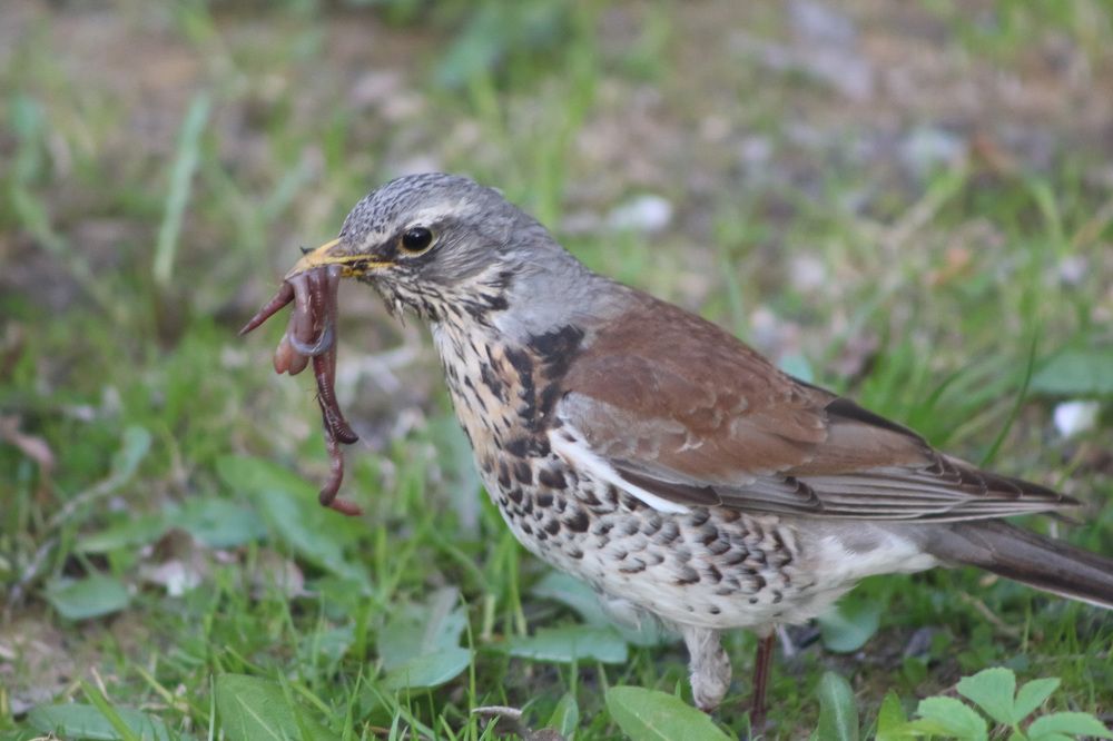 Photograph by Natasha Kim