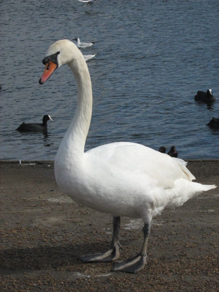 Photograph by Isabella Northrop