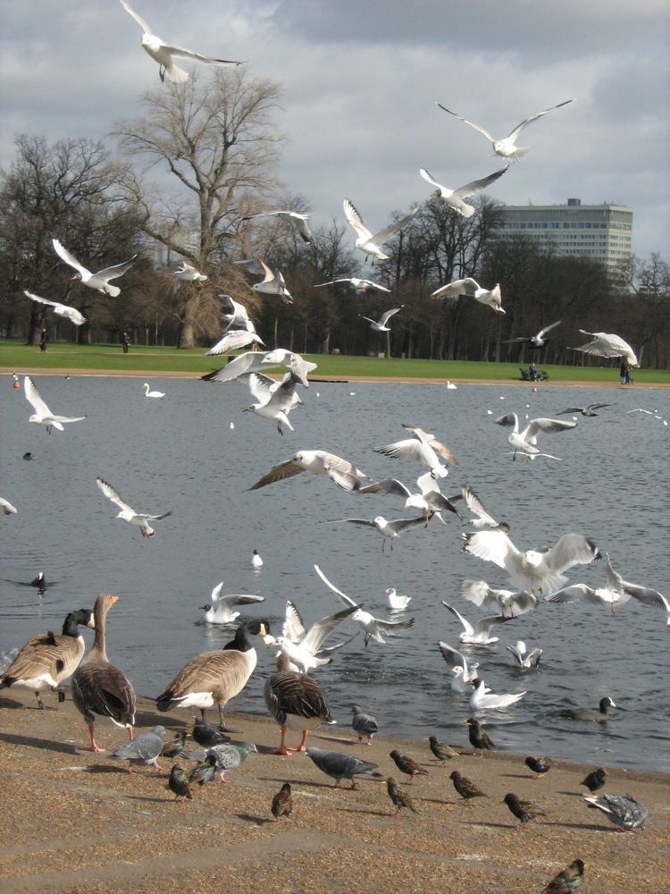 Photograph by Isabella Northrop