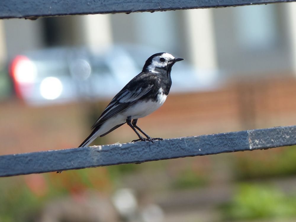 Photograph by Isabella Northrop