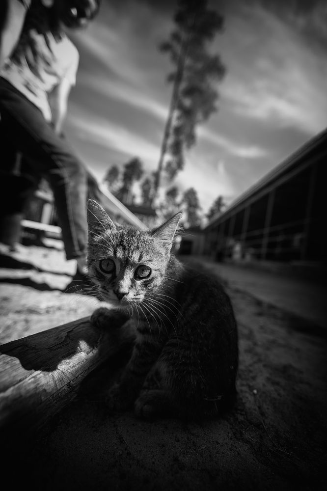 Photograph by Кузнецов Дмитрий