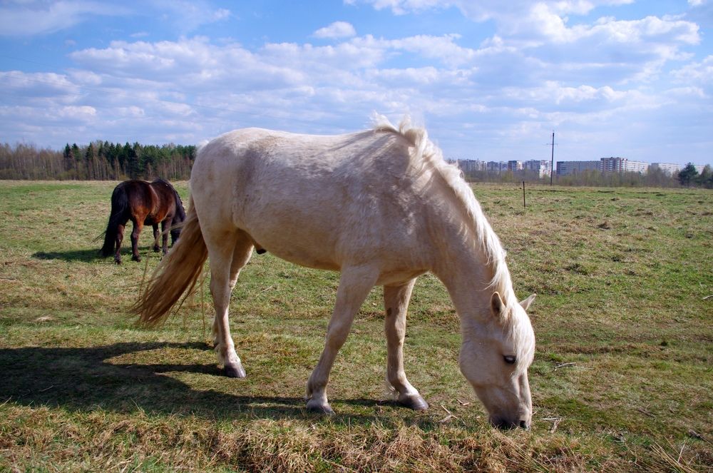 Photograph by Светлана Герасимчук