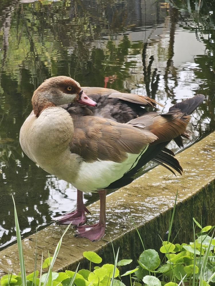 Фотография автора Oksana Podgorodetska