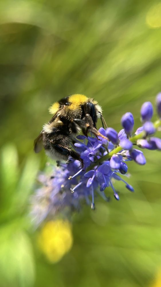 Photograph by Екатерина