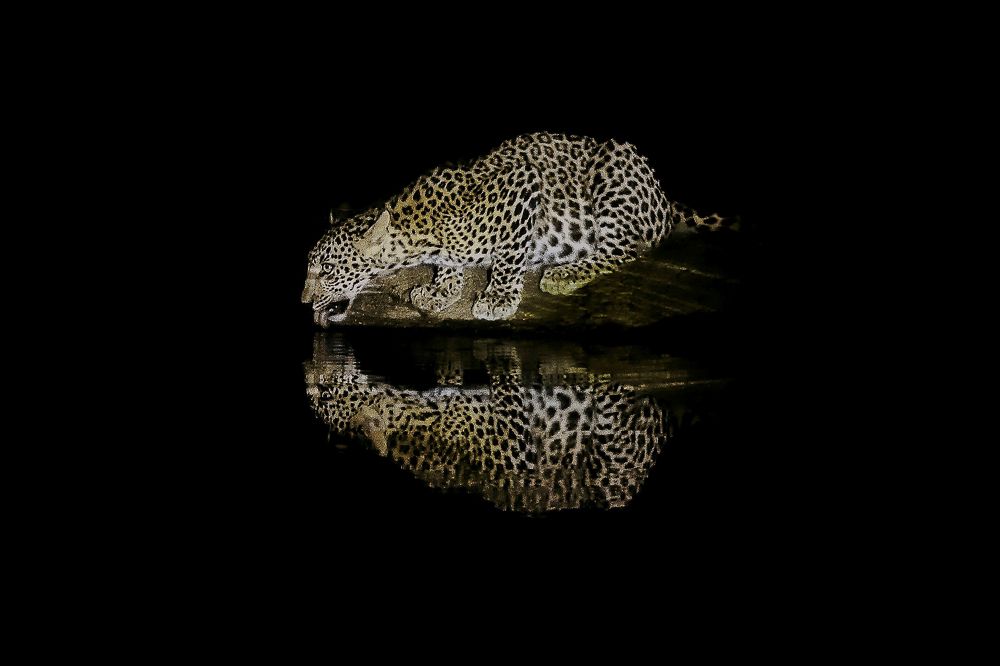 Photograph by Tanusri RoyChowdhury