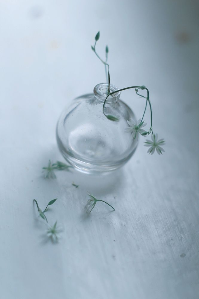 Photograph by Ирина Ахбаш