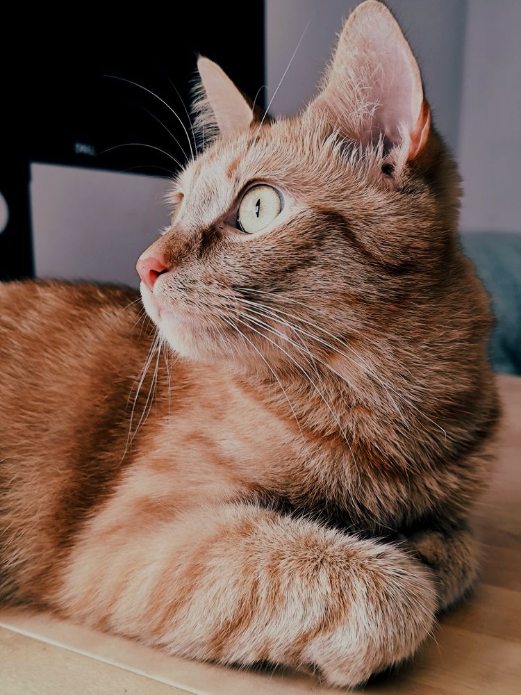 Фотография автора Svetlana Kaindl