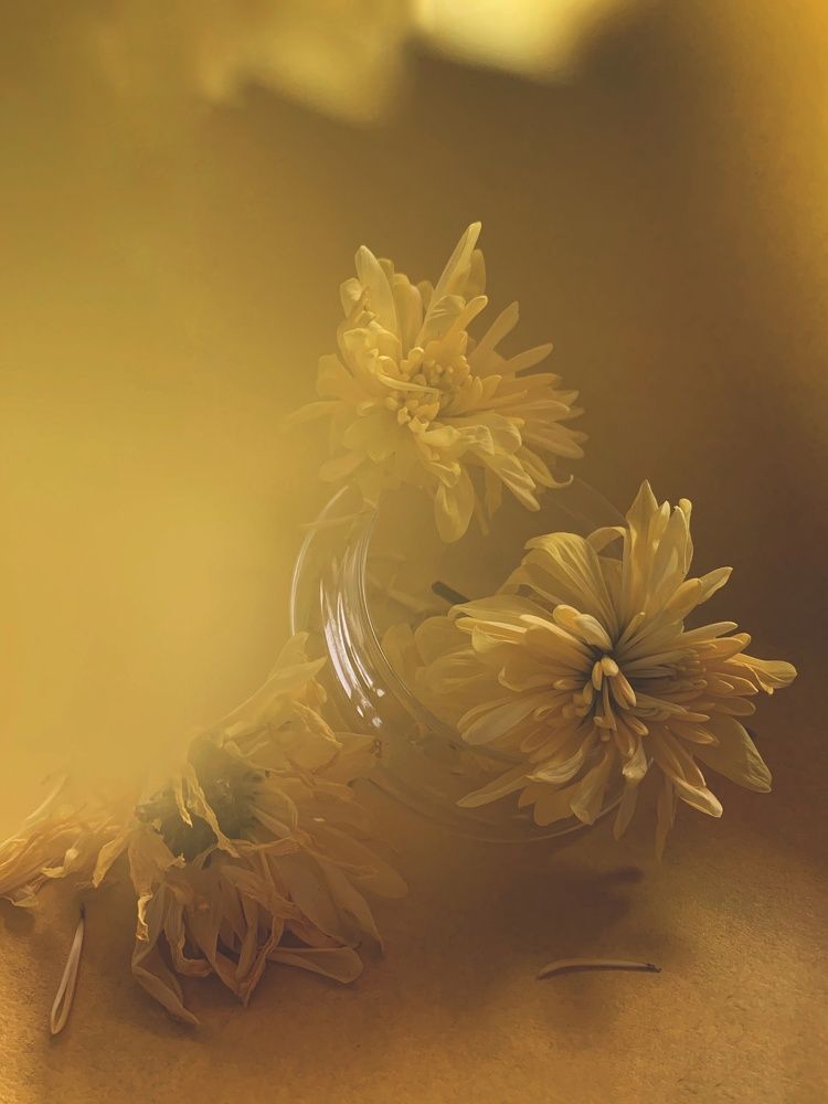 Photograph by Ирина Ахбаш