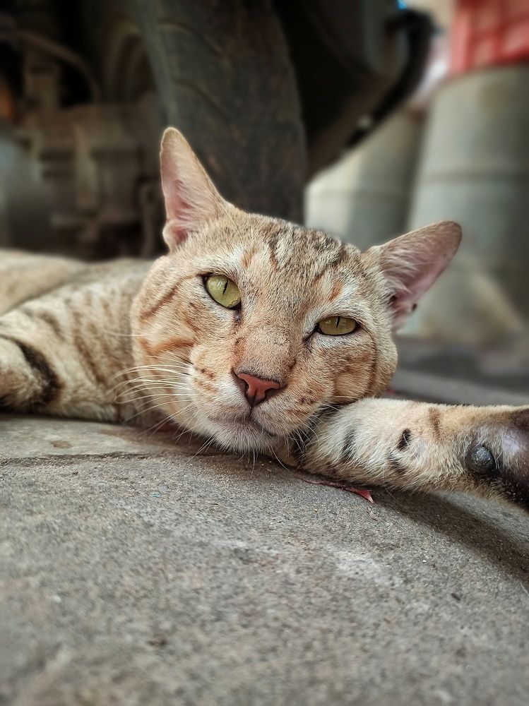 Photograph by Tariq amin Mansuri