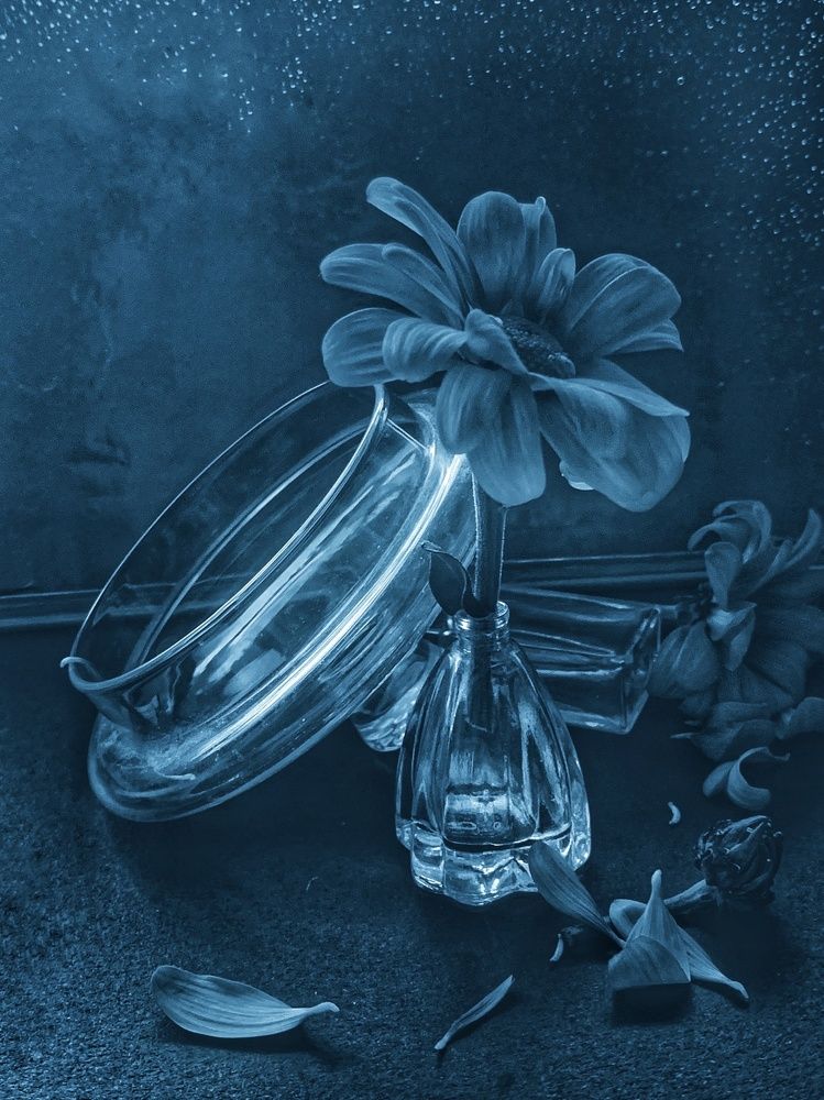 Photograph by Ирина Ахбаш