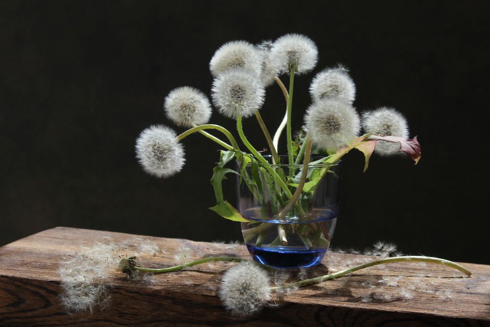 Photograph by Сироткина Нина