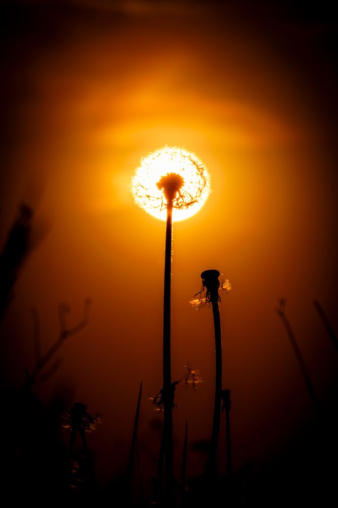 Фотография автора Viktor Arkhipenko