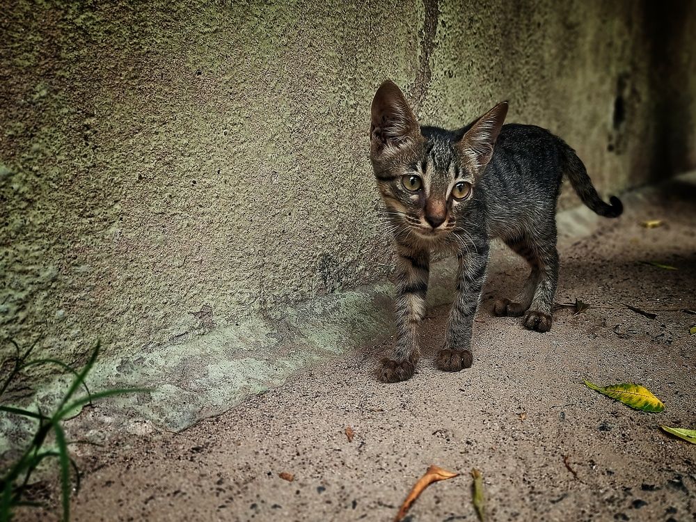 Photograph by Tariq amin Mansuri