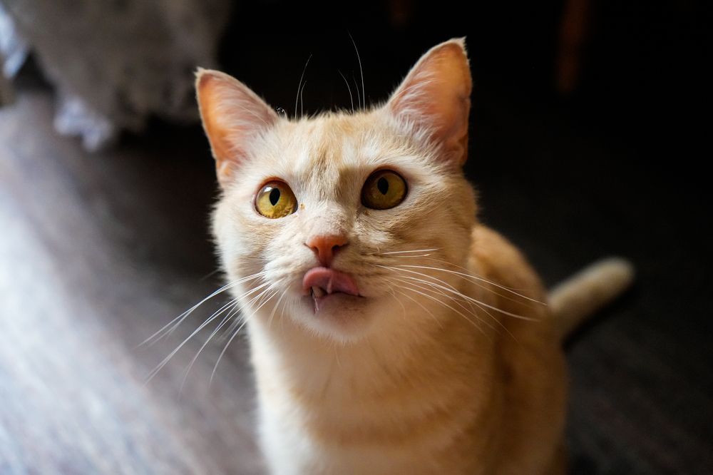 Photograph by Индира Кузнецова