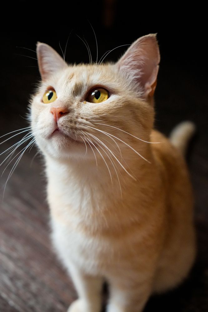 Photograph by Индира Кузнецова