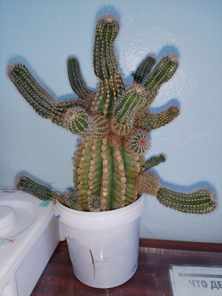 Photograph by Наталья