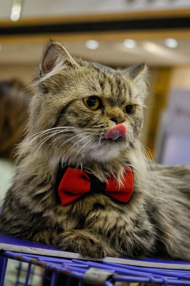 Photograph by Tariq amin Mansuri