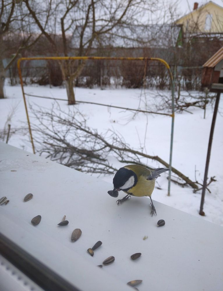 Photograph by Елена Коробченко