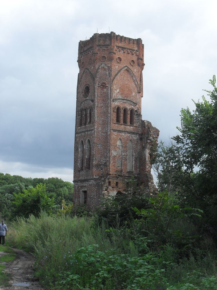 Photograph by Елена Попова