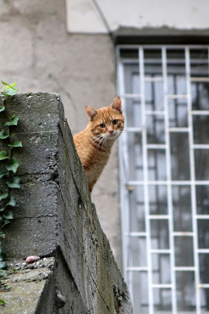 Photograph by Павел Кузьмин