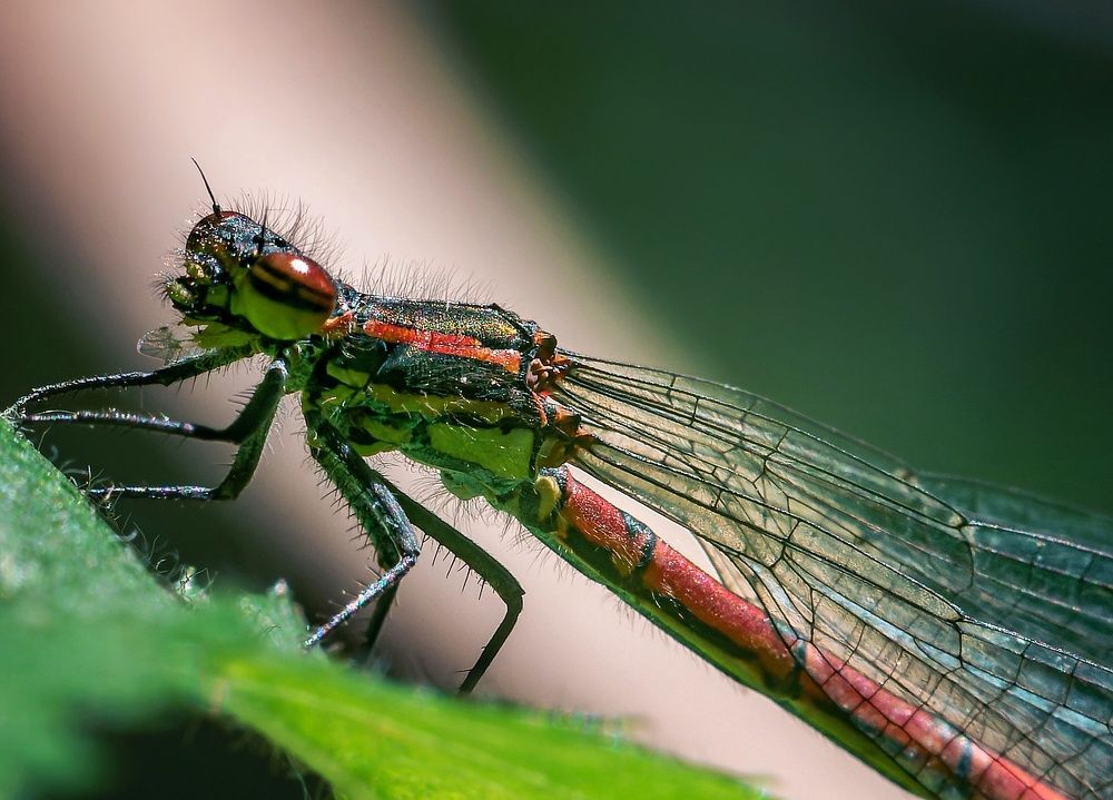 Photograph by Максим Кольцов