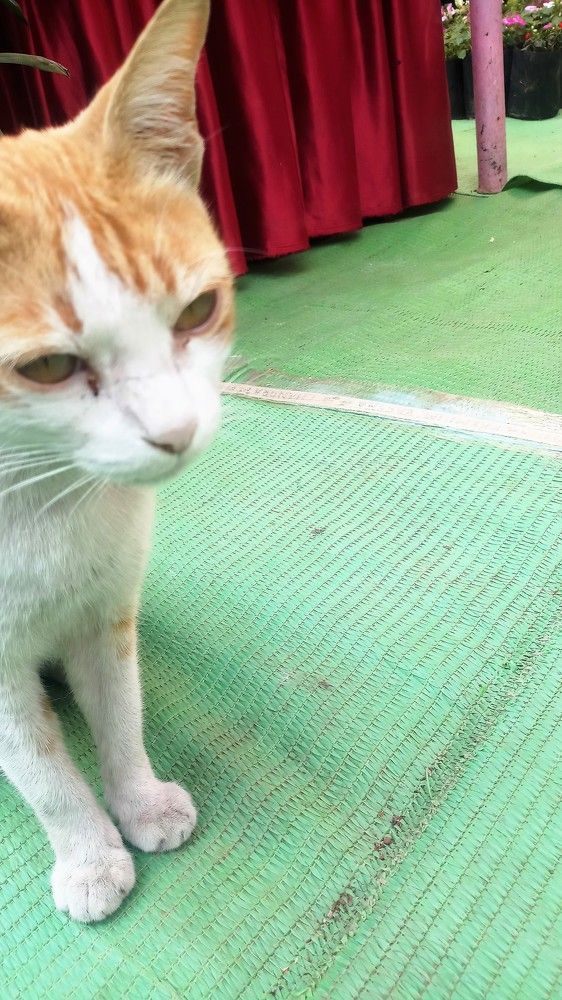 Photograph by Ambewadikar sourabh