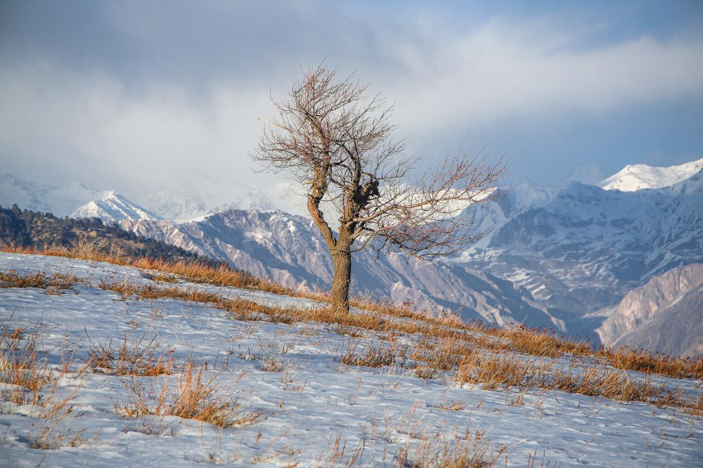 Photograph by Shahzad Ali