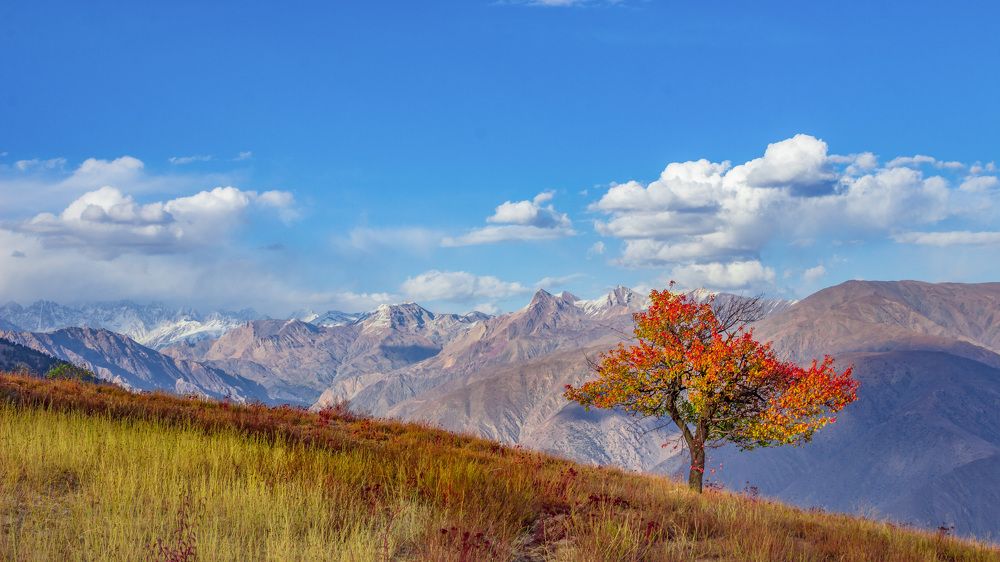 Photograph by Shahzad Ali