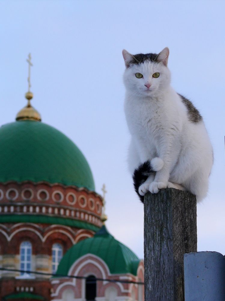 Photograph by Елена Попова