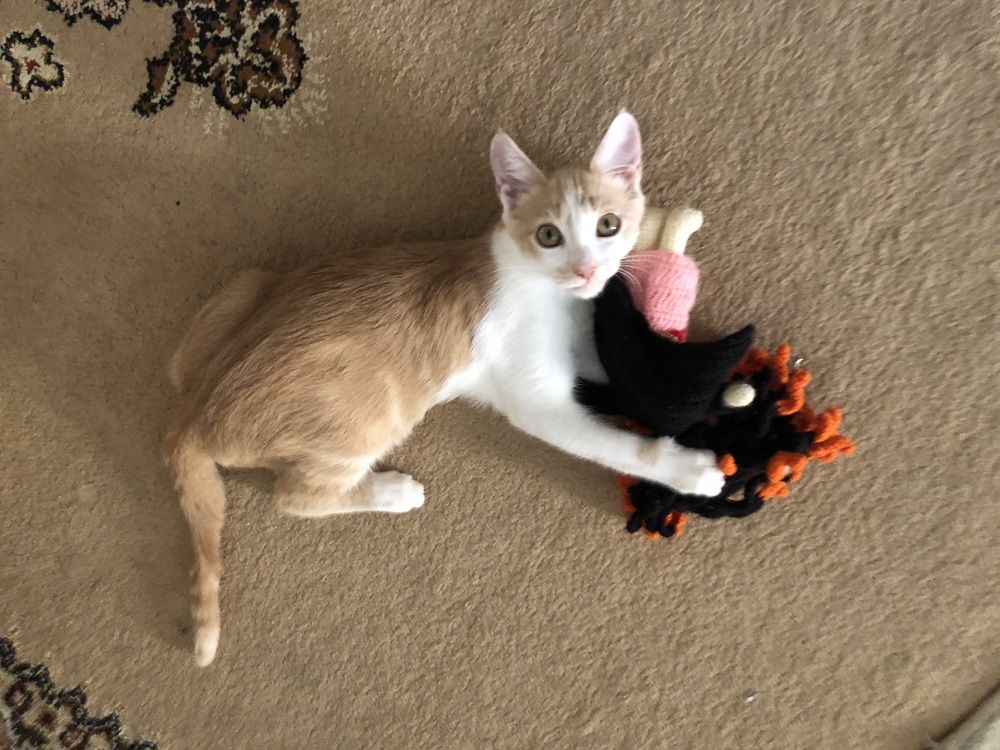 Photograph by Abdellatif Jellab