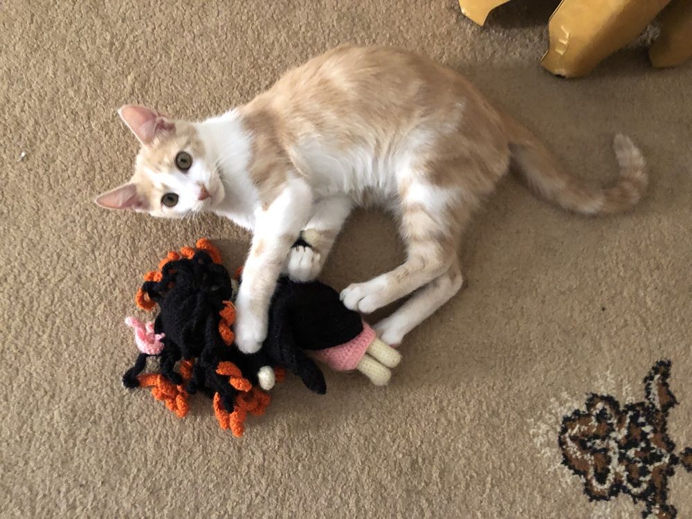 Photograph by Abdellatif Jellab