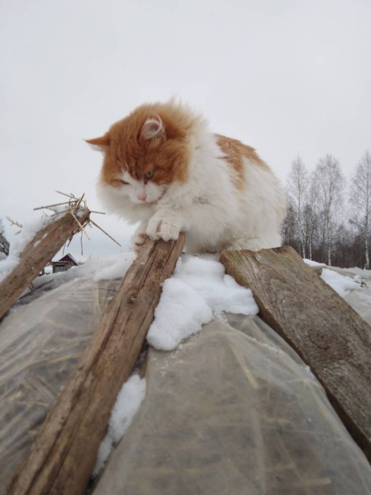 Photograph by Татьяна