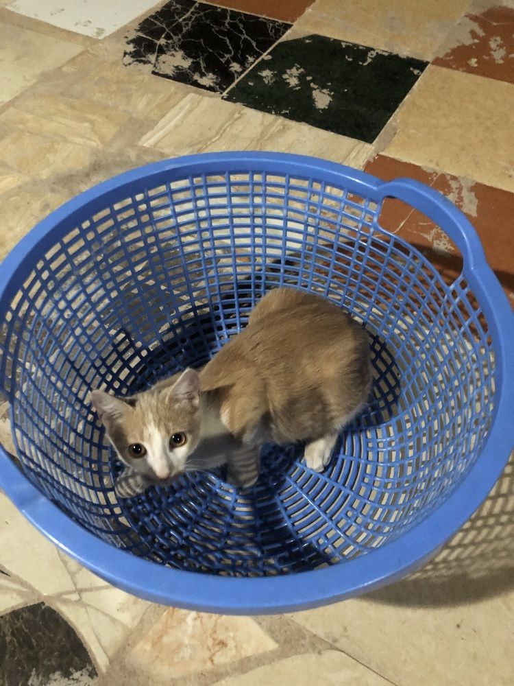 Photograph by Abdellatif Jellab